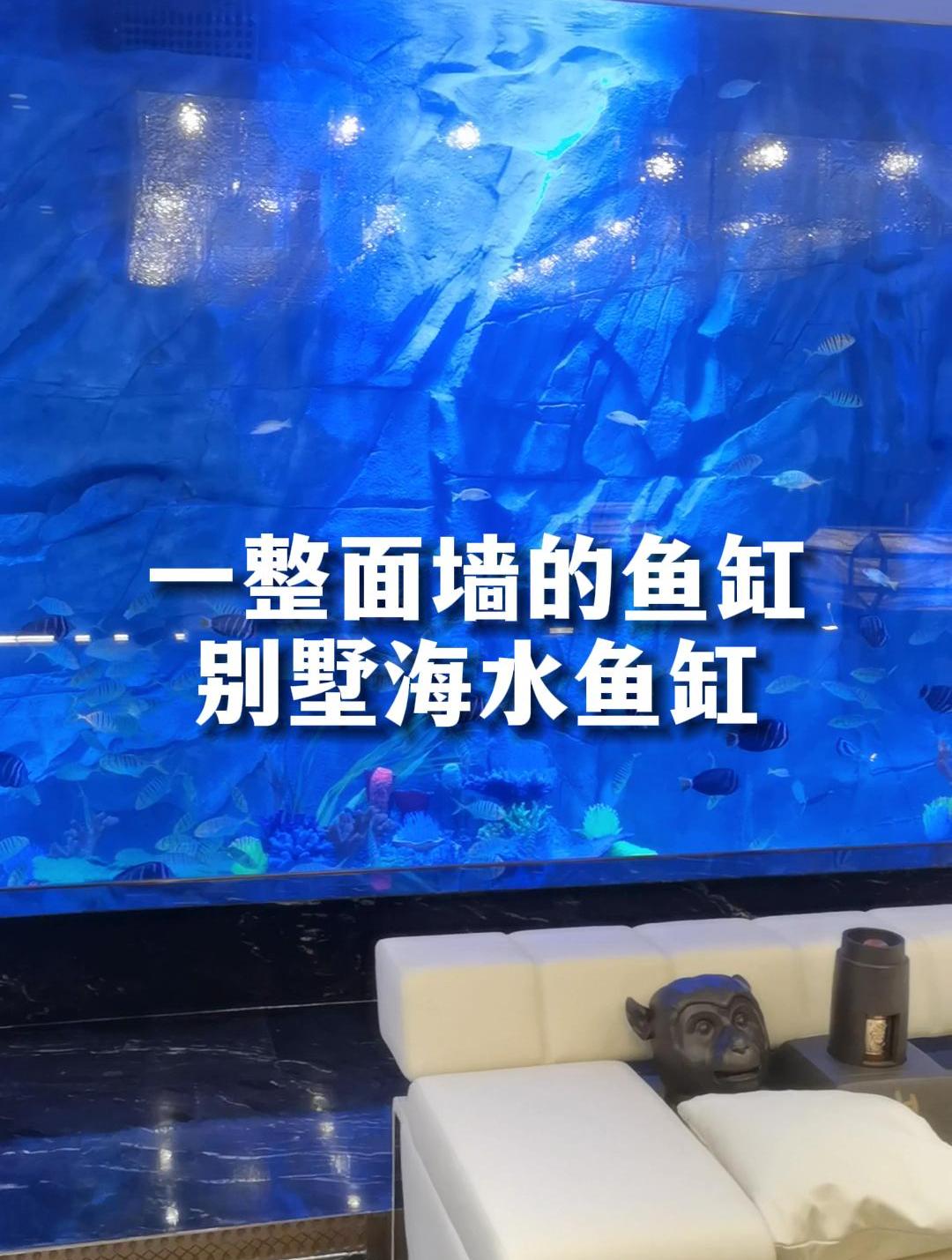一整面墙都是鱼缸,这样的鱼缸你心动了吗