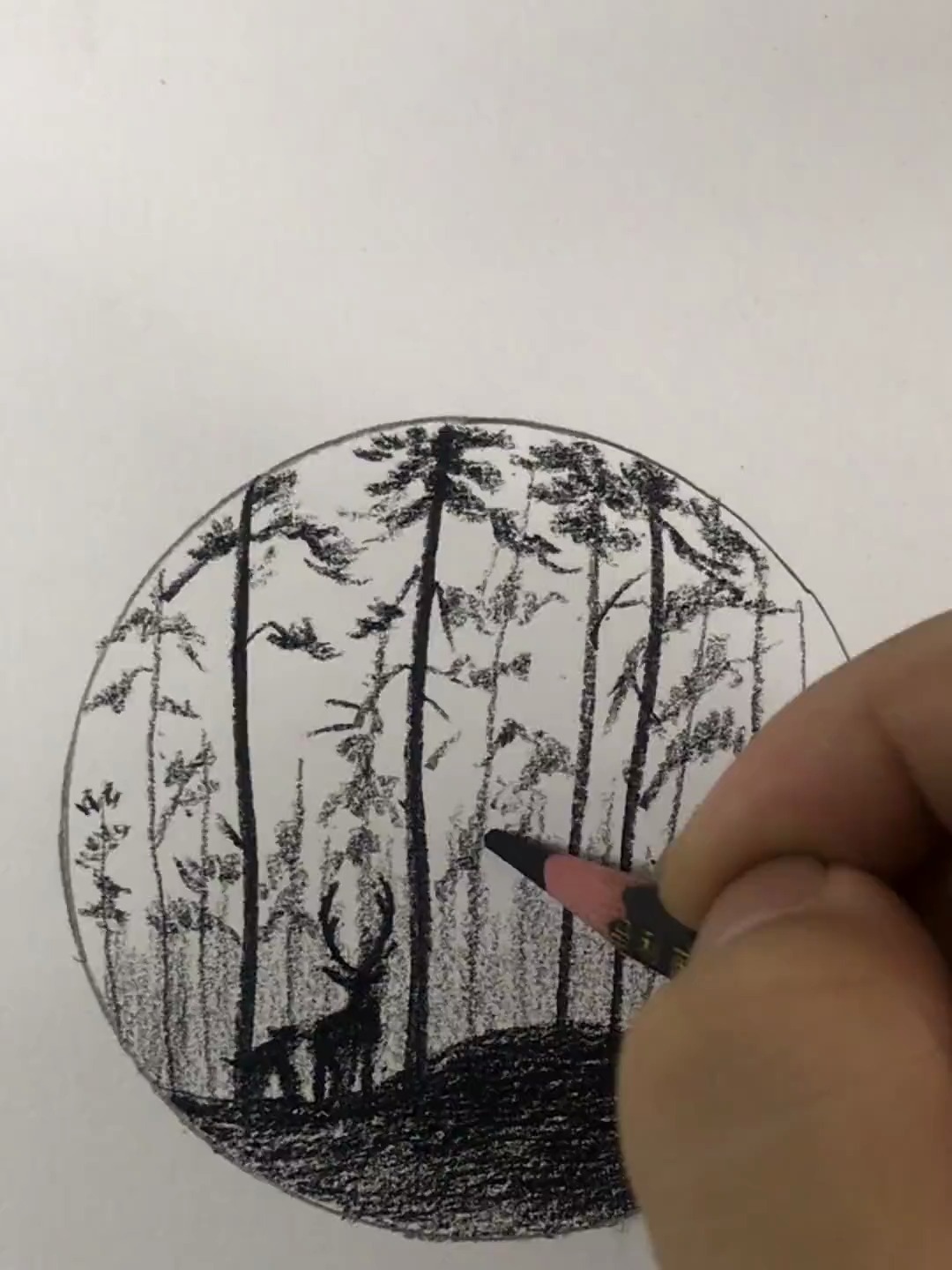 30秒教你轻松学会画小鹿 素描 简笔画 风景