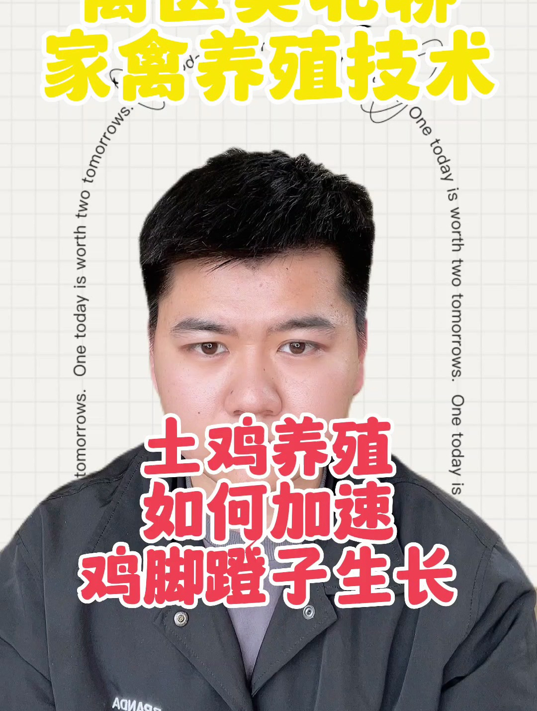 如何让鸡脚蹬子快速生长鸡长蹬爪喂什么长得快鸡吃啥脚蹬子长得快