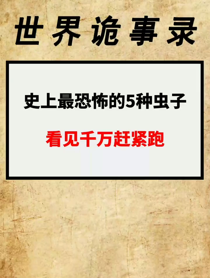 史上最恐怖的5种虫子,看见千万赶紧跑