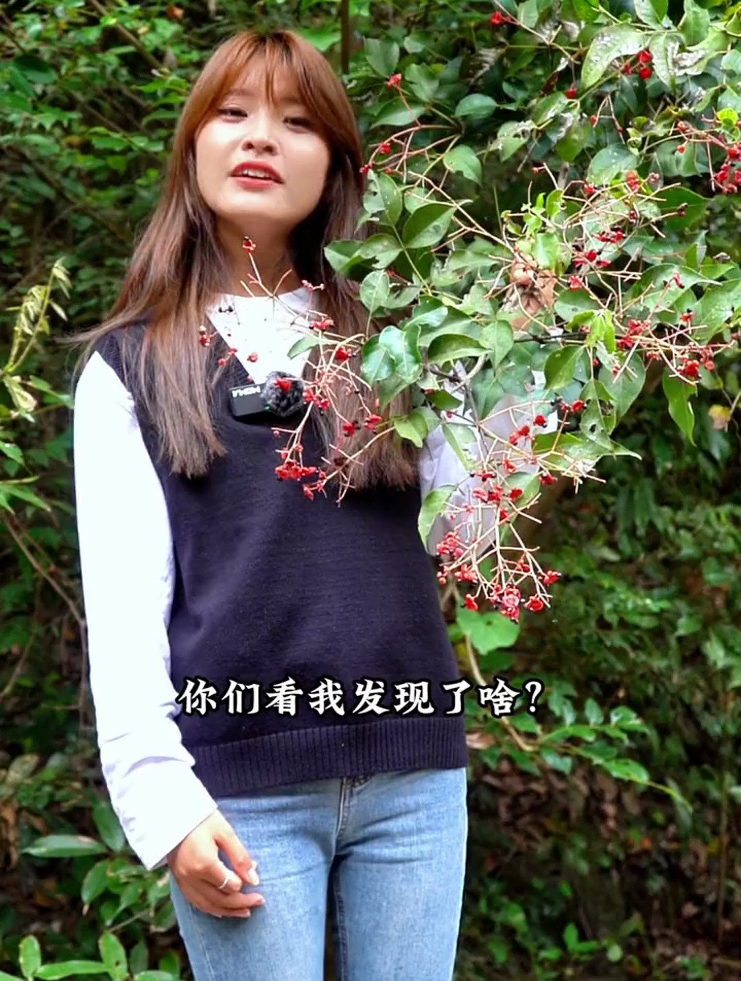 野鸦椿,别名鸡肾果,鸡眼睛,是神奇的观赏植物还有很多的用途