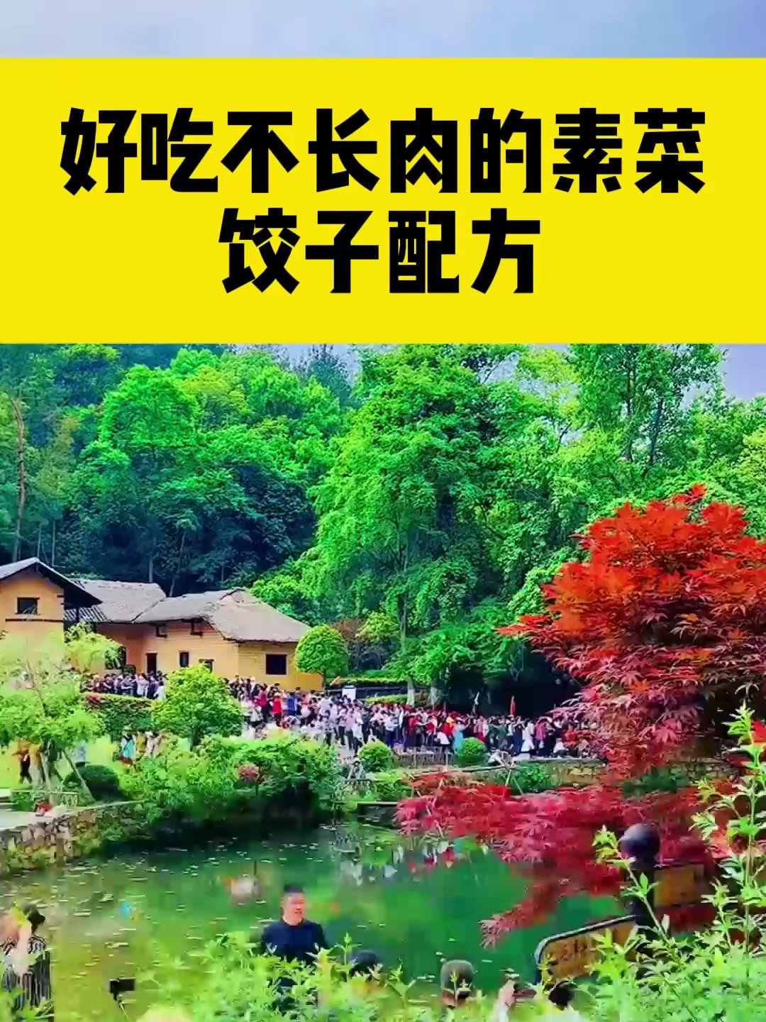 好吃不长肉的素菜饺子配方