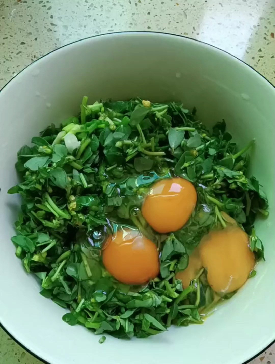 常见的马齿苋,它的功效和作用很多人都不知道!