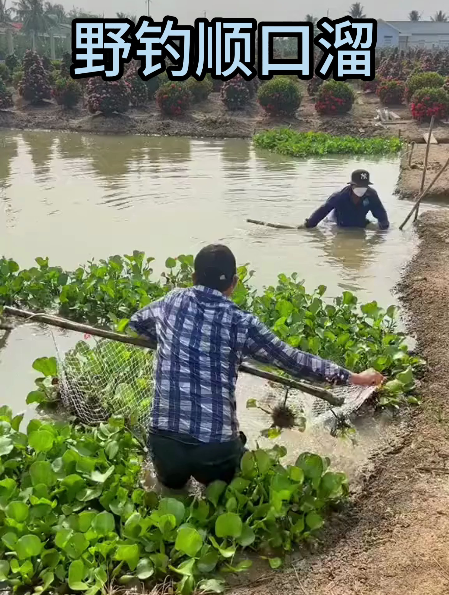 民间一直流传的来的钓鱼顺口溜,用过的人都说好!