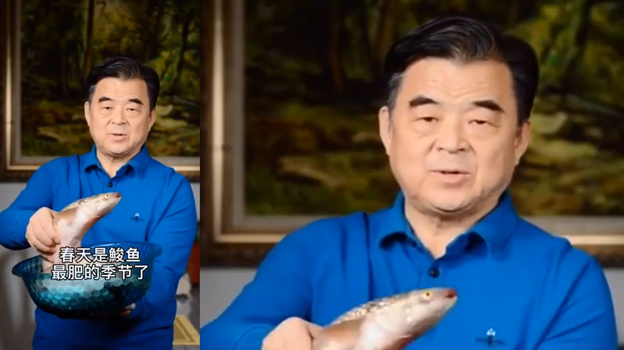 春天梭鱼最肥!做一道金汤梭鱼