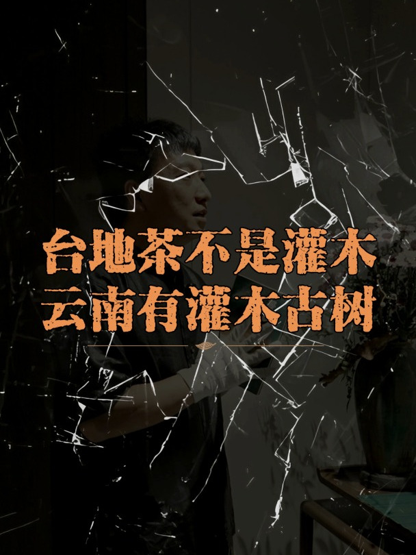 云南有灌木古树?