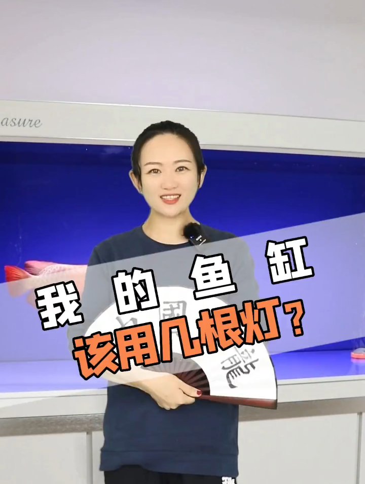 我的鱼缸该用几根灯?