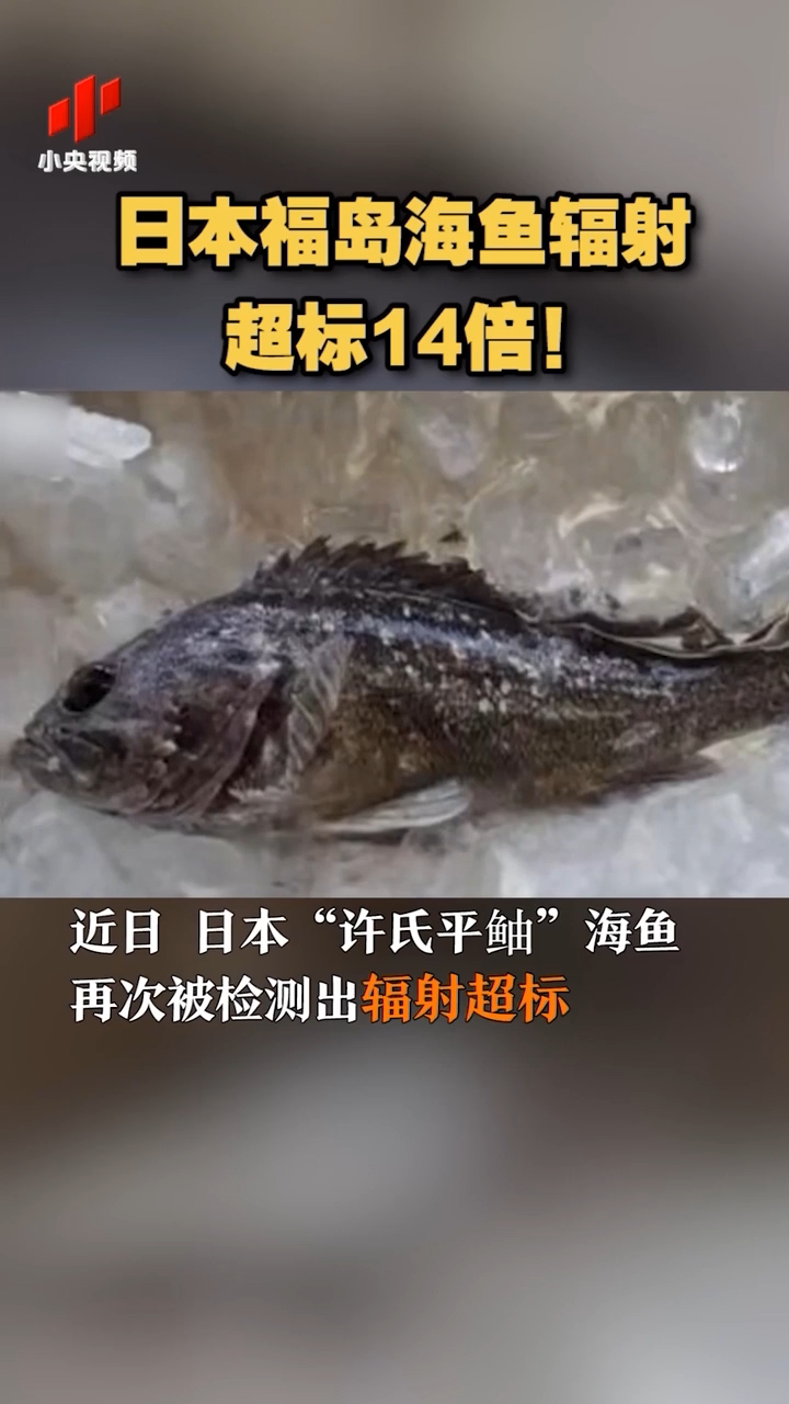 日本福岛海鱼辐射超标14倍!