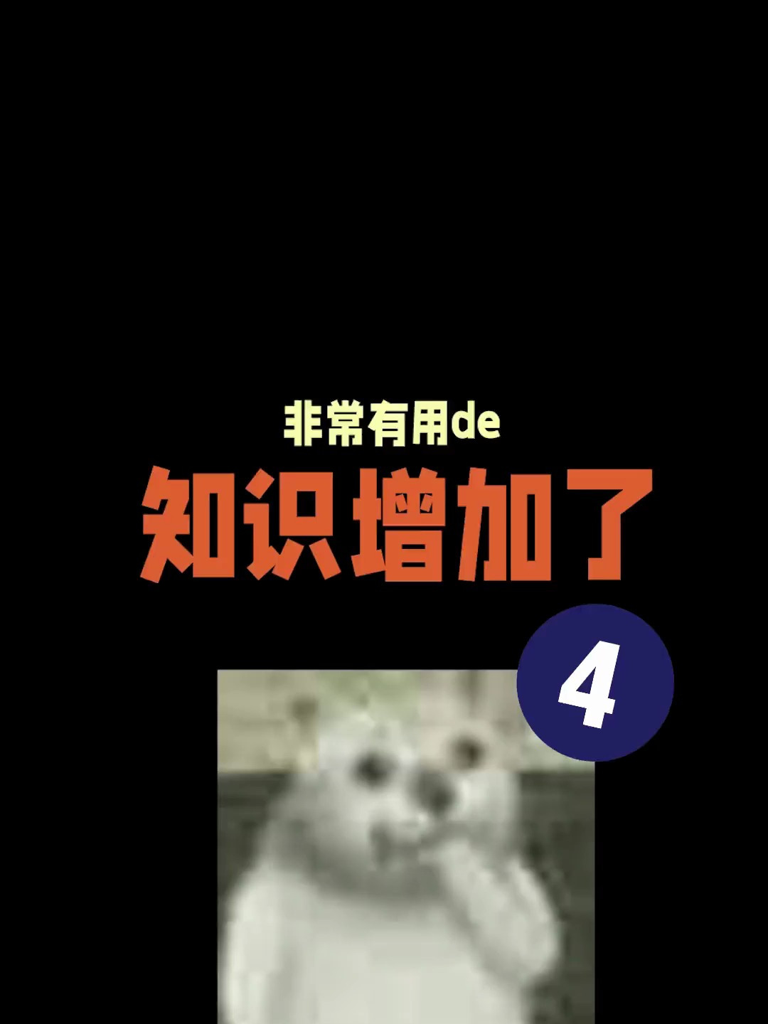 非常有用的知识增加