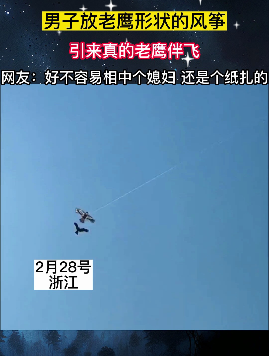 男子放老鹰形状的风筝,引来真的老鹰伴飞