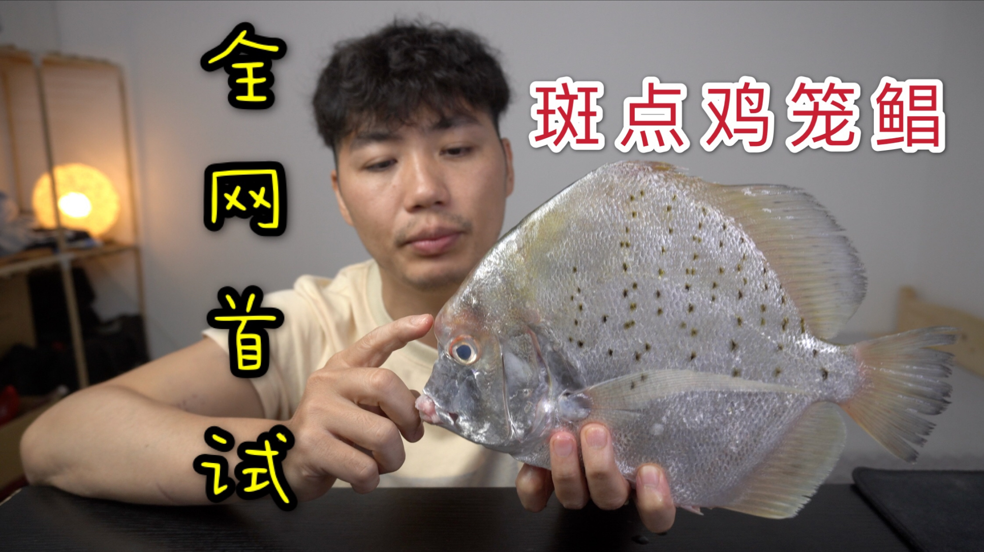 全网首吃,斑点鸡笼鲳长得很奇特,但是脂肪感爆满