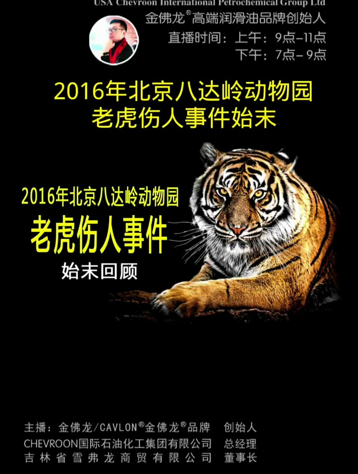 2016年北京八达岭动物园,老虎伤人事件始末回顾