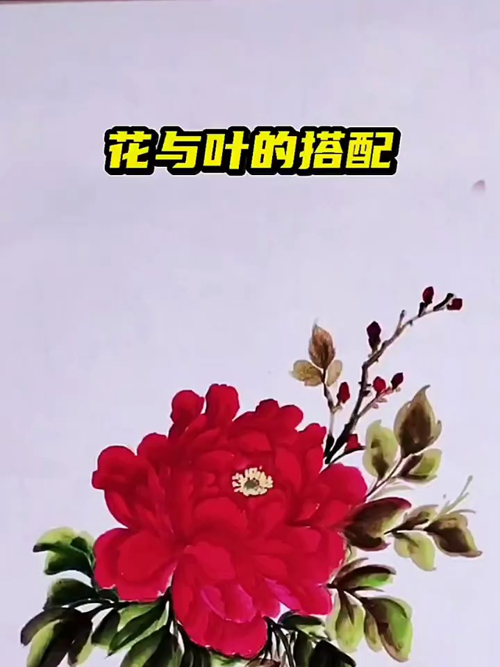 写意国画牡丹 大红牡丹