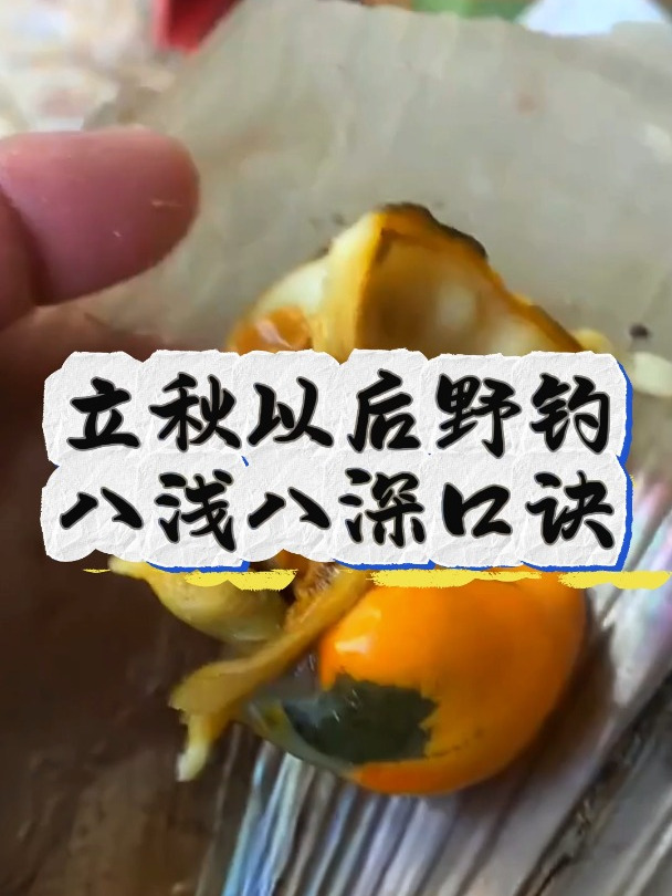 想钓大鱼的口诀,立秋之后想爆护必看!