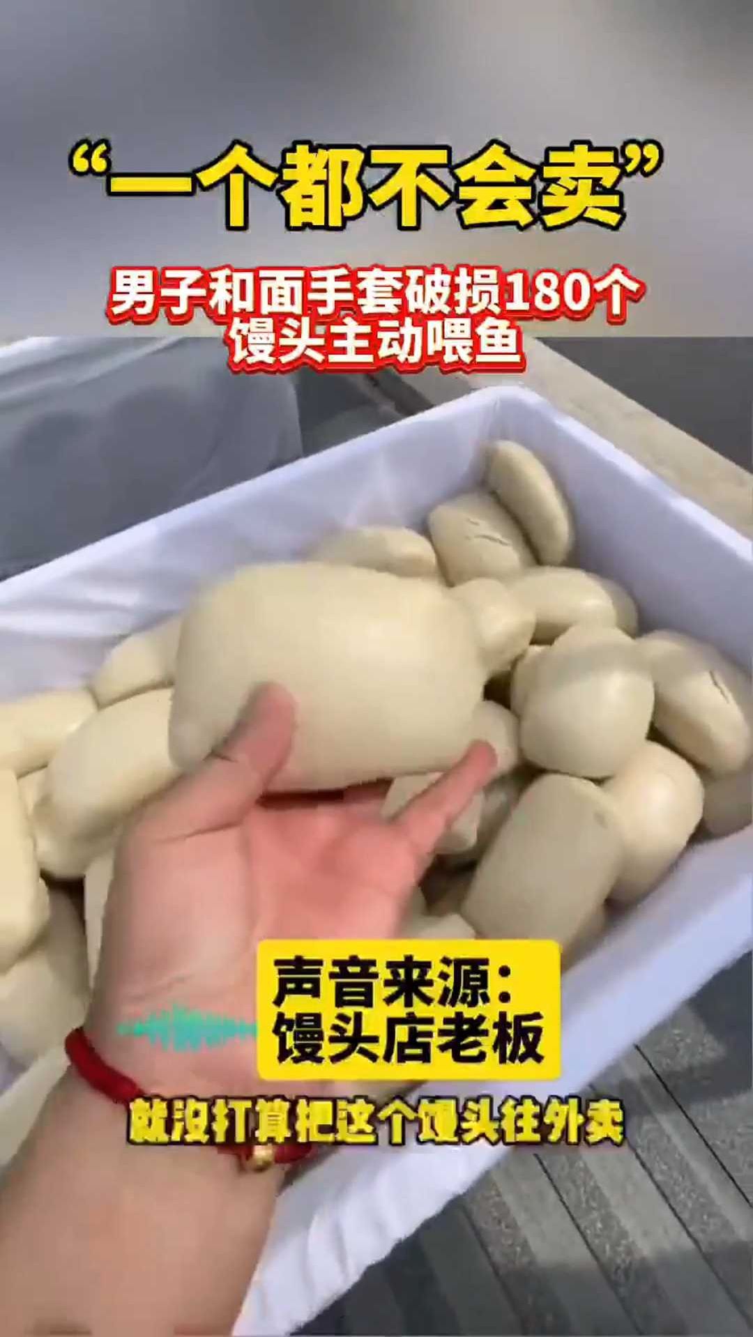 男子和面手套破损180个馒头主动喂鱼