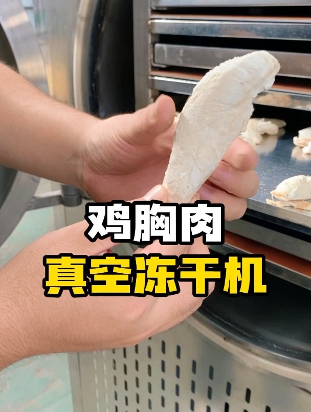 鸡胸肉真空冻干机冻干效果展示 肉类真空冻干机 宠物食品冻干机