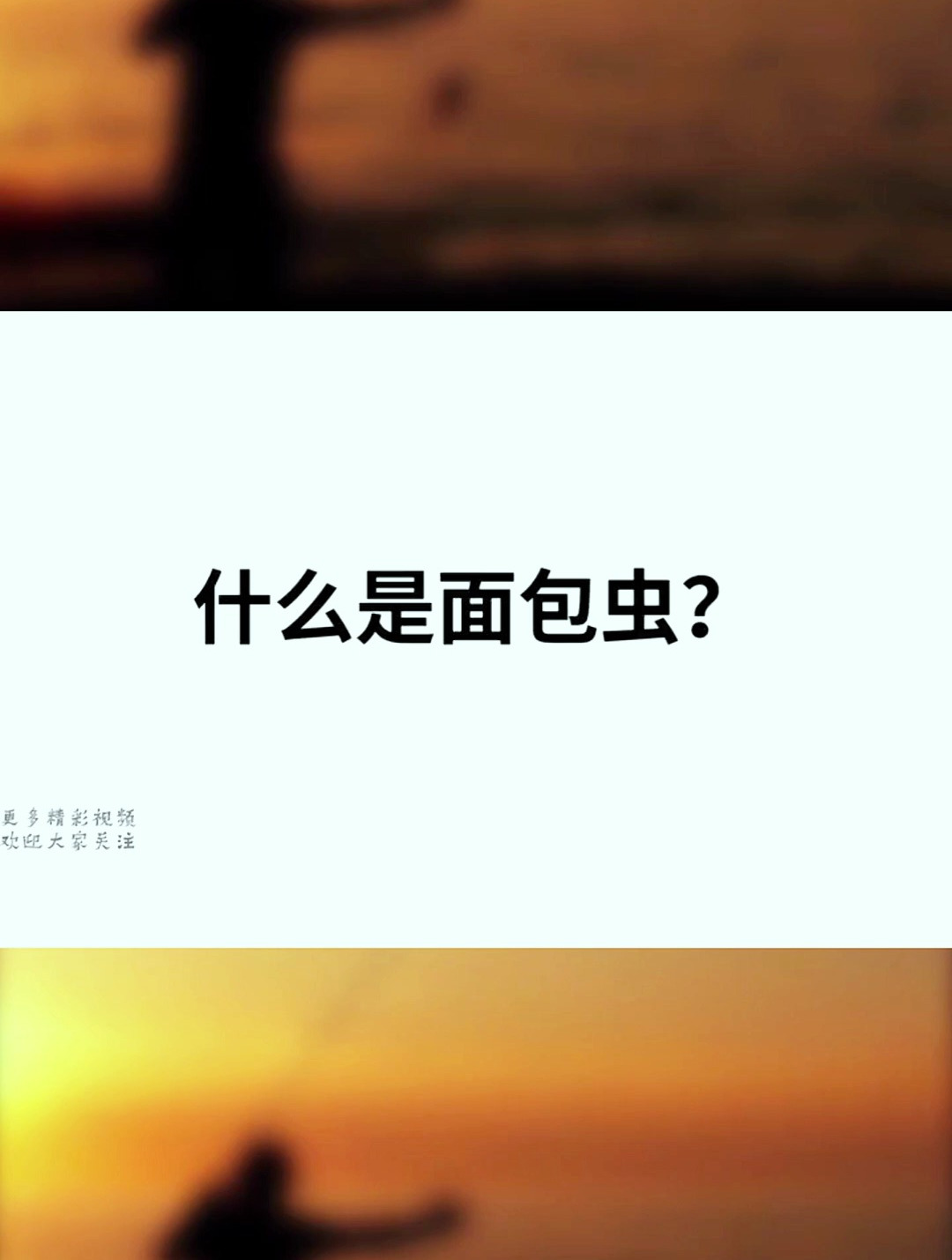 什么是面包虫?用它可以钓到什么?