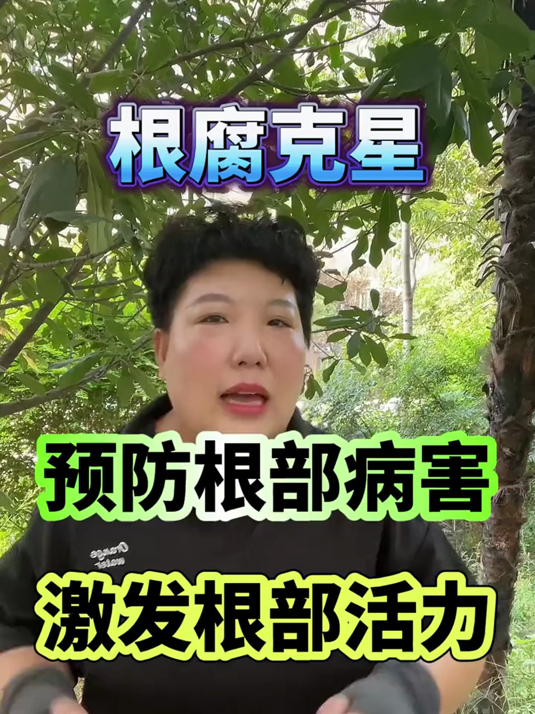 根腐克星,预防根部病害激发根部活力