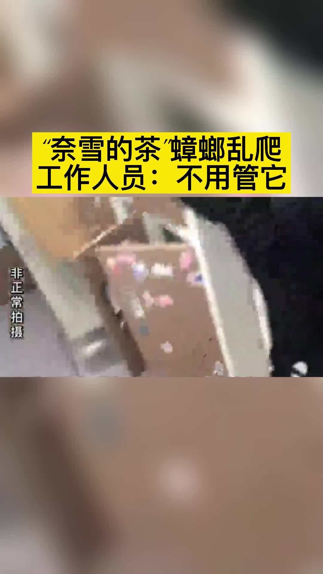 奈雪的茶蟑螂乱爬、标签不实,工作人员回答竟然是:不用管它、随便贴……食品安全 卫生