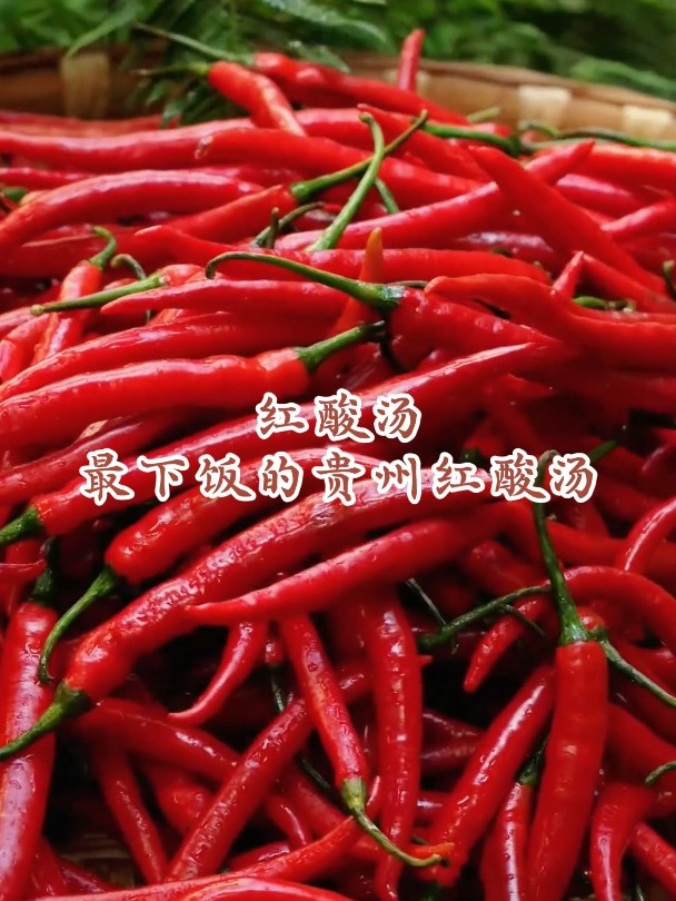 一勺汤就是一碗饭,火锅店同款贵州红酸汤,究竟有多美味?