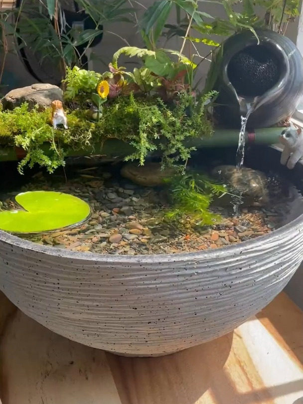 如何野采不花钱制作一个古法鱼缸造景