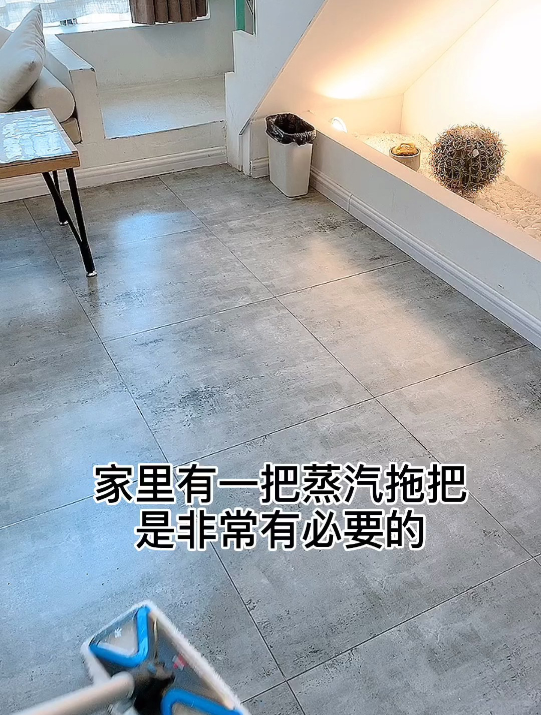 我的清洁工具,两款蒸汽拖把分享,对比