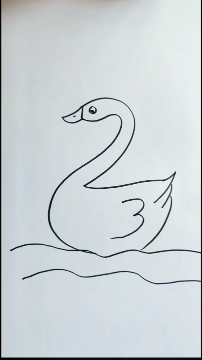 幼儿园简笔画大白鹅,数字画教学