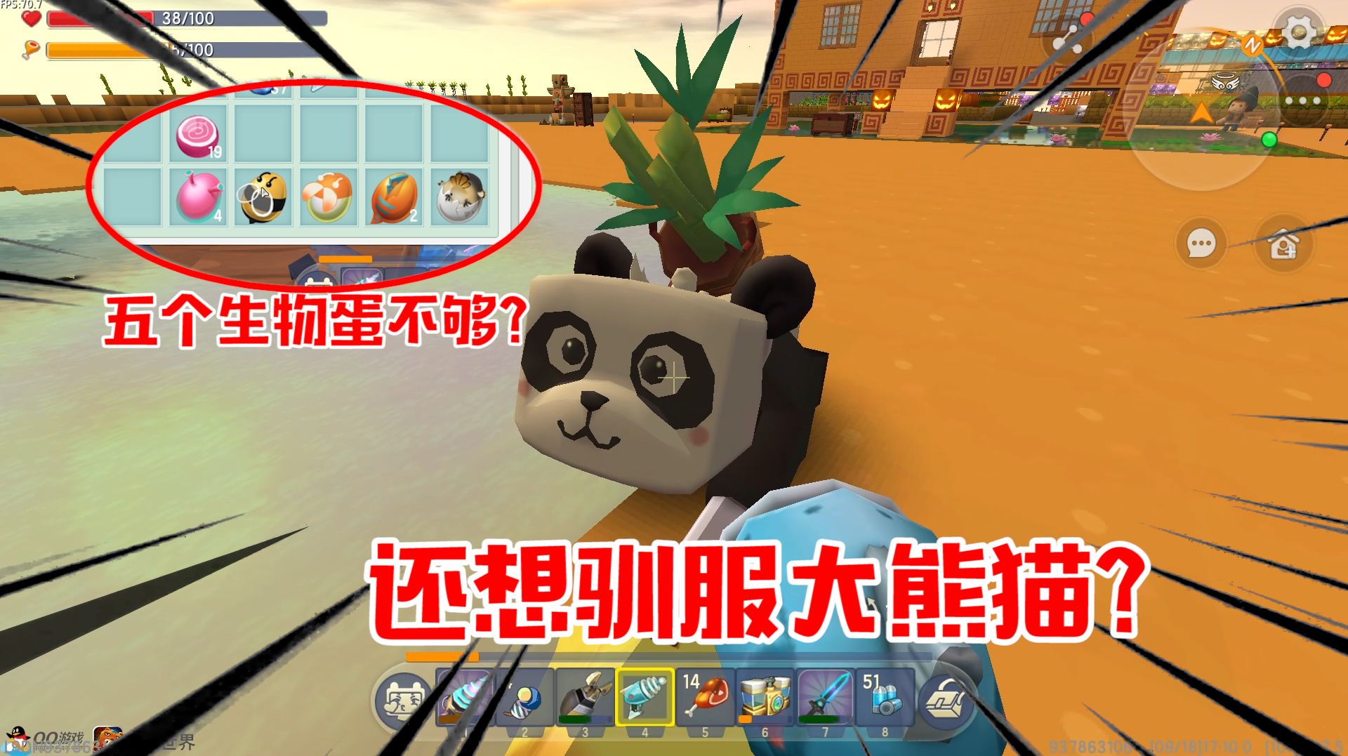 迷你世界沙漠计划69:糖豆想驯服熊猫!却不能变成生物蛋?