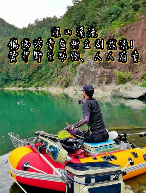 深山溪流偶遇珍贵鱼种,立刻放流,爱护野生动物、人人有责