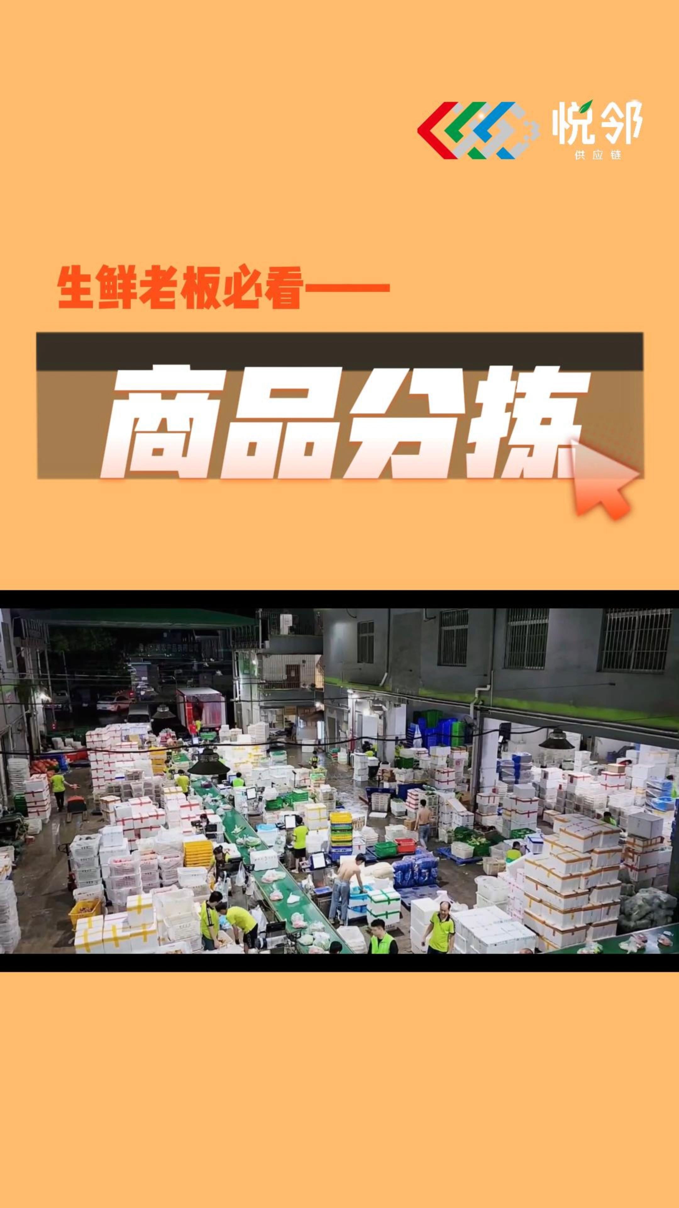 上了系统的蔬菜分拣怎么做?省时省力损耗还小