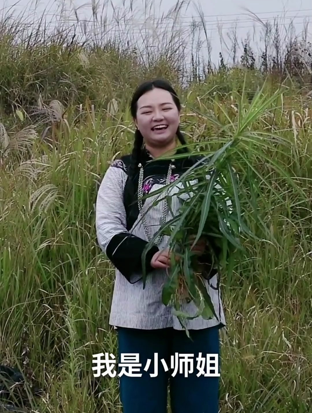 《苦卖菜》苗家单方,希望我的分享能帮助到她