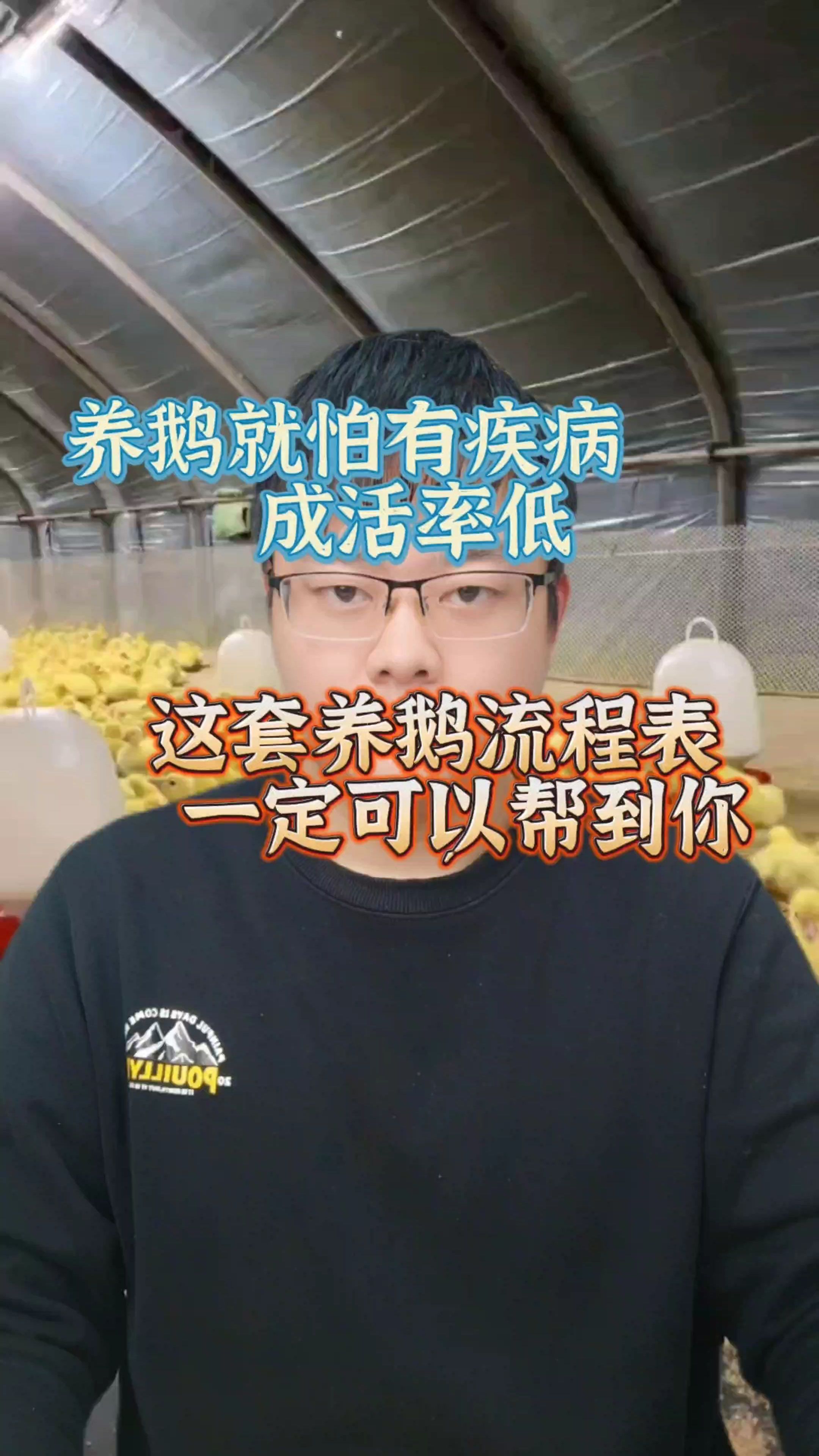 养鹅就怕有疾病、成活率低,这套养鹅流程表,一定可以帮到你