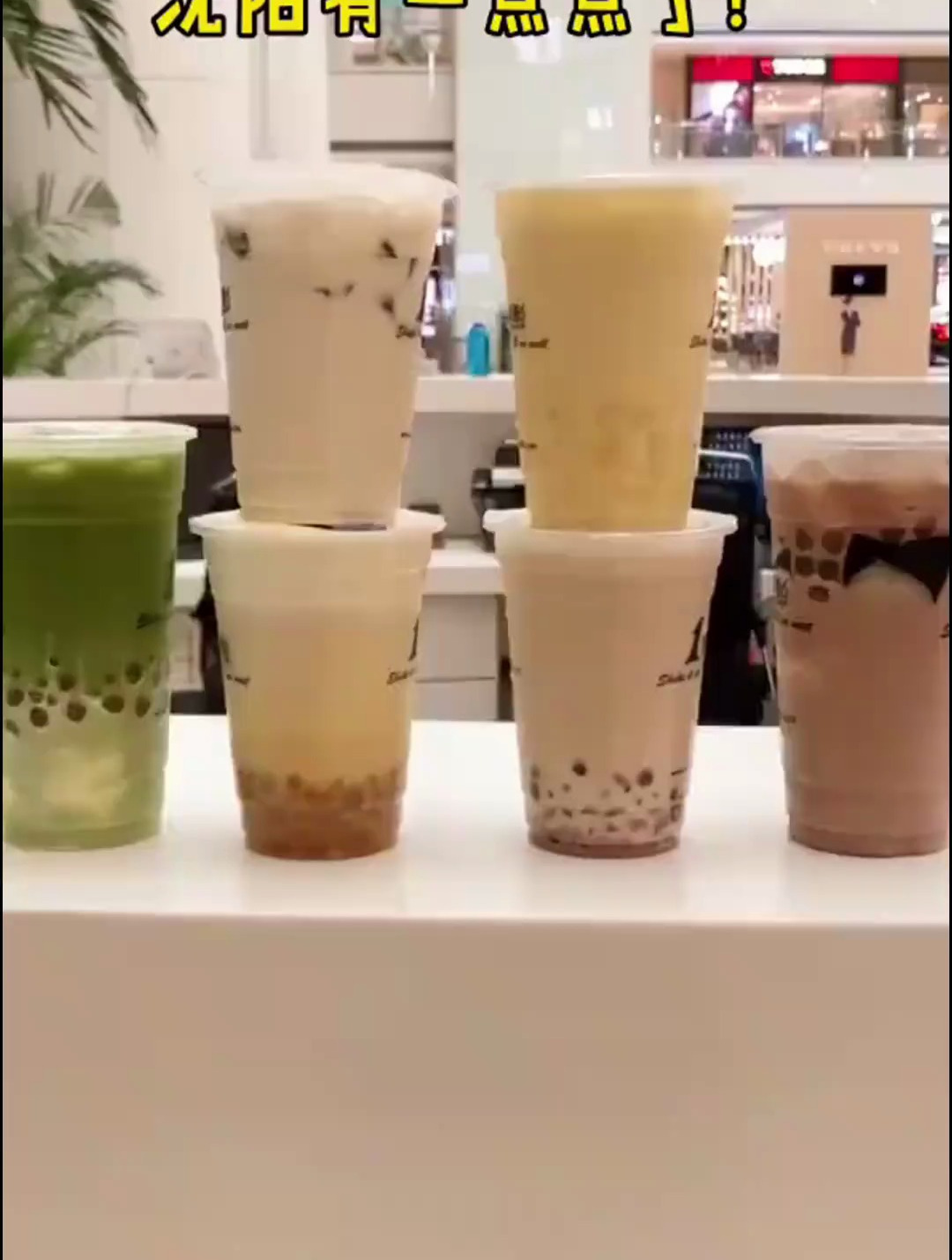 沈阳有一点点了,奶茶少女冲呀