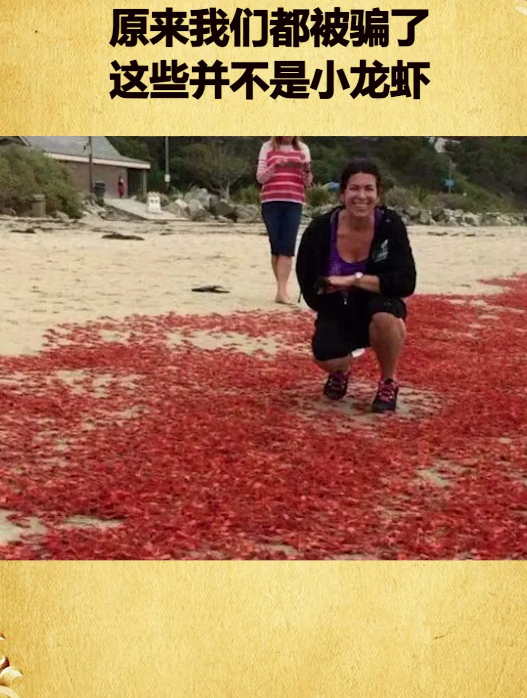 美国“小龙虾”泛滥没人吃?原来我们都被骗了,这些并不是小龙虾