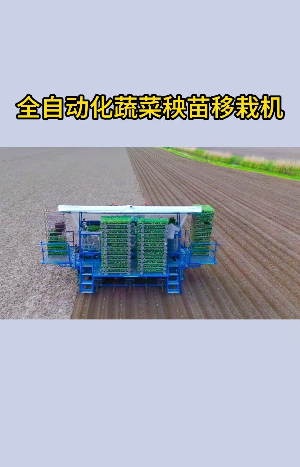荷兰全自动化蔬菜秧苗移栽机,颠覆传统种菜方式!