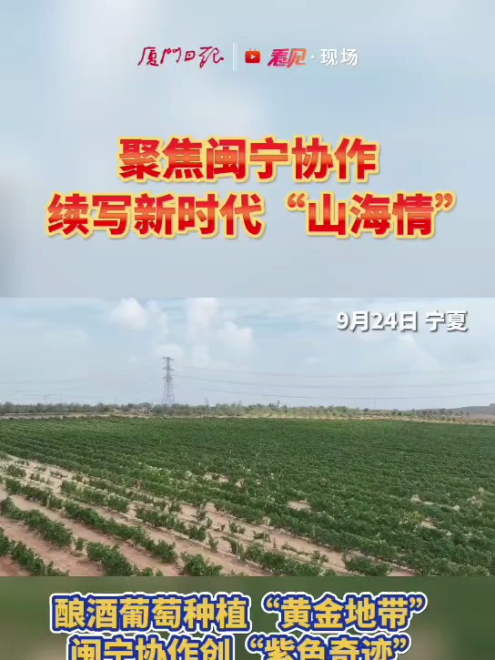 聚焦闽宁协作,续写新时代“山海情”