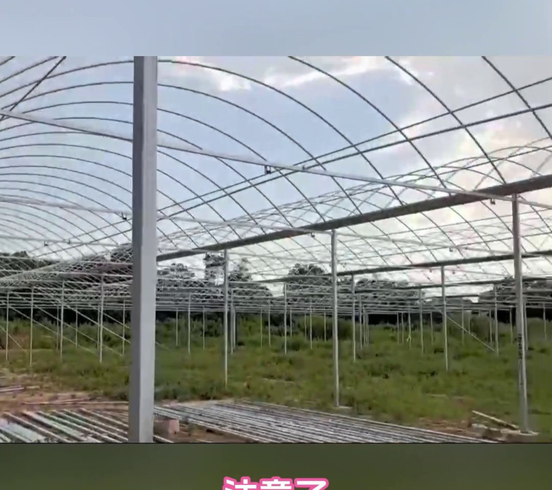 蔬菜温室大棚搭建