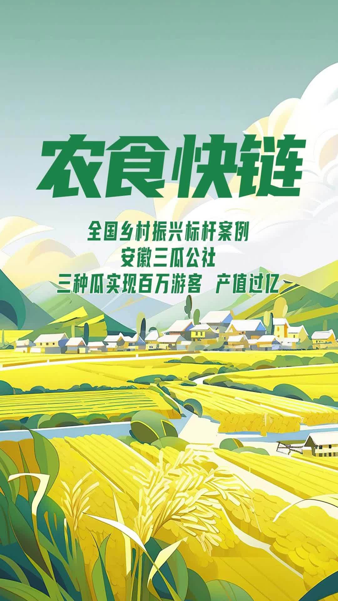 乡村振兴标杆案例 安徽三瓜公社 三种瓜实现百万游客 产值过亿