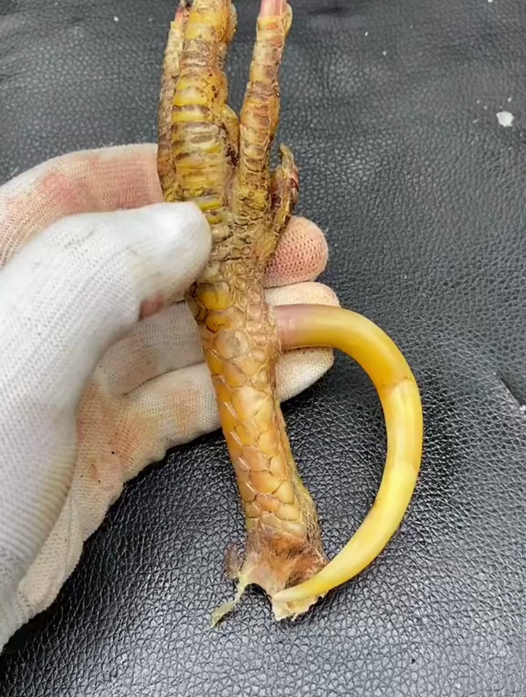 文玩鸡爪骨 文玩鸡蹬子 老王大哥赚了