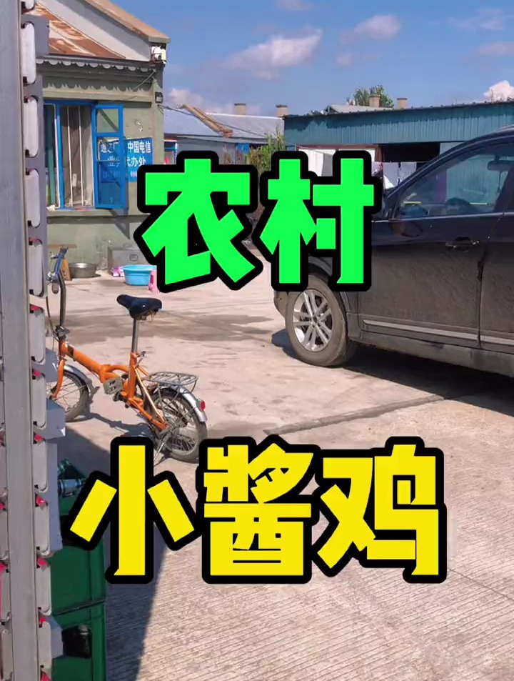 哈尔滨双城,农村小酱鸡