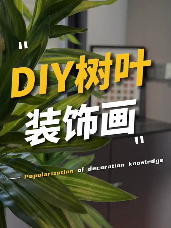 捡的树叶搭配30块钱的画框打造一幅装饰画