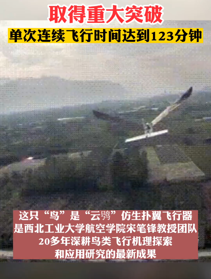 西工大自主研制的这只“鸟”取得重大突破!单次连续飞行时间达到123分钟。(陕视新闻)