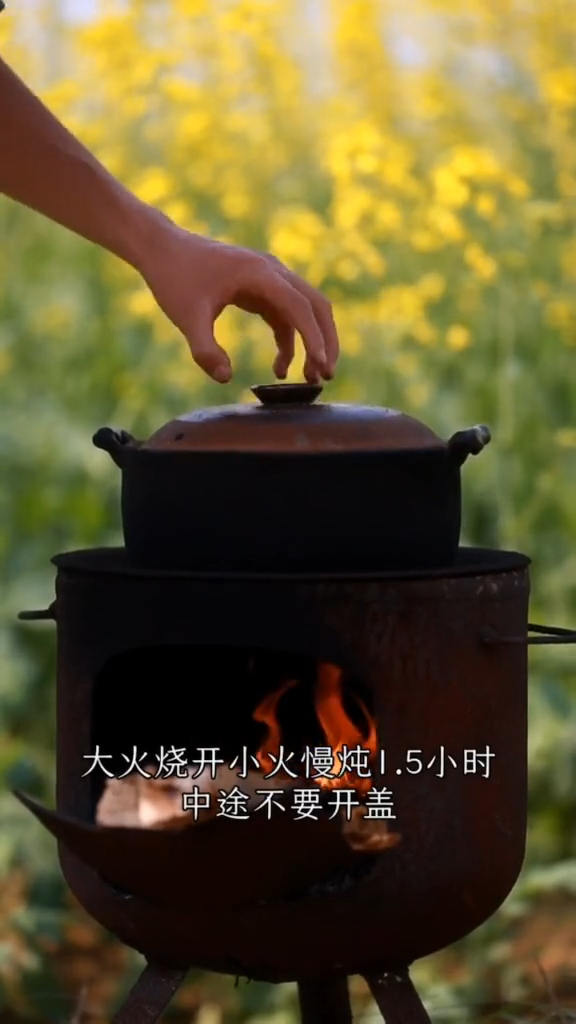 老婆姨妈刚走,气色不大好,没精神,赶紧炖个花胶汤补一补