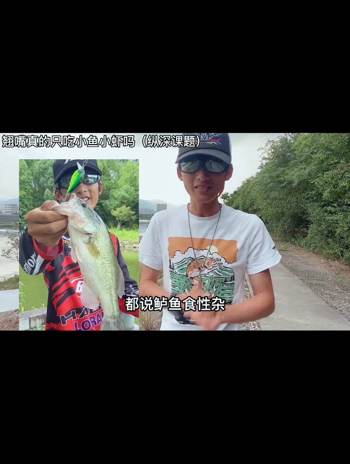 翘嘴我们都知道它常吃什么,你们说除了小鱼小虾,会吃其他的吗?