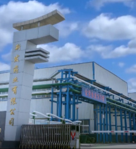 新发药业2台60T燃气蒸汽锅炉控制系统