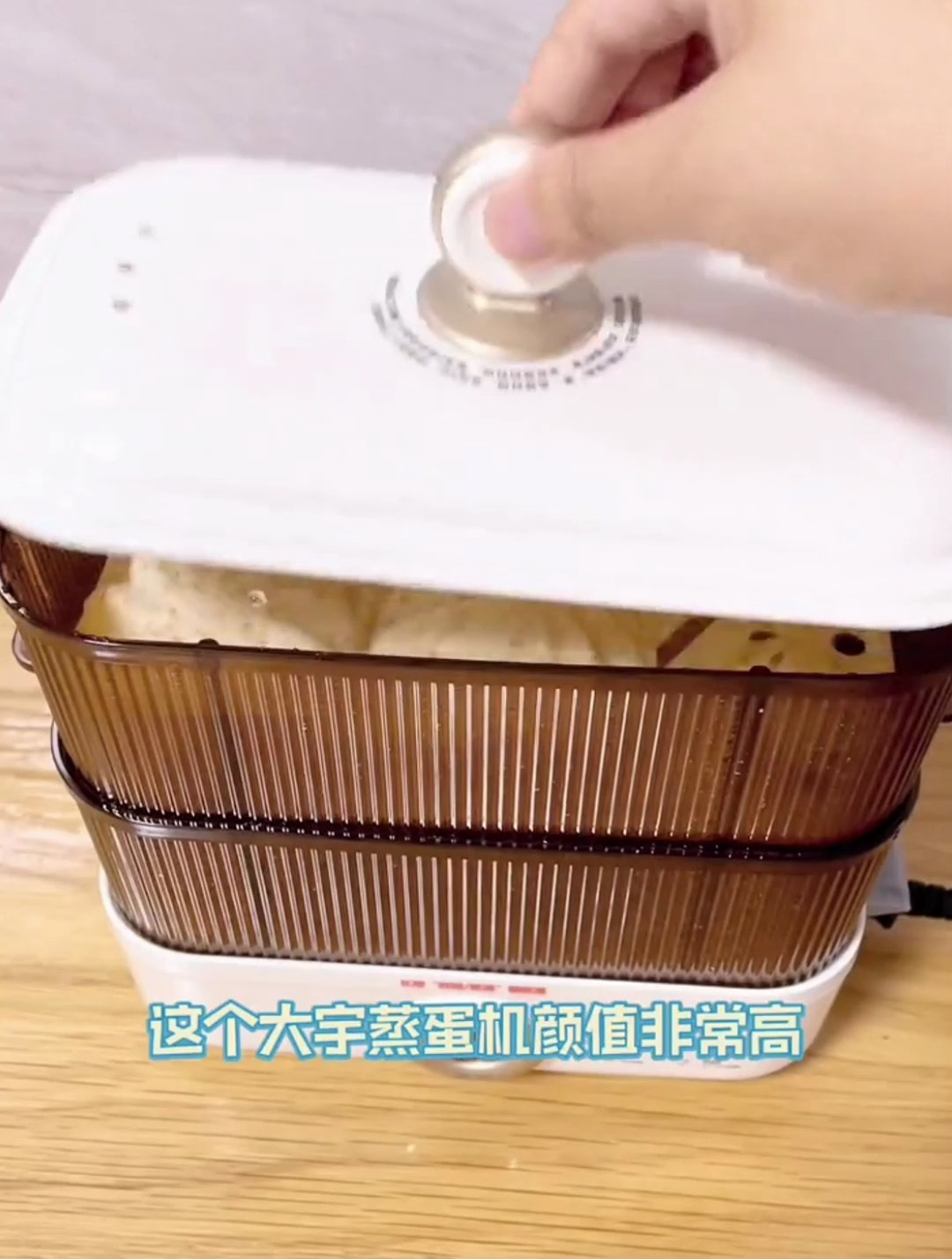 大宇(DAEWOO)煮蛋器蒸蛋器家用多功能机小型早餐