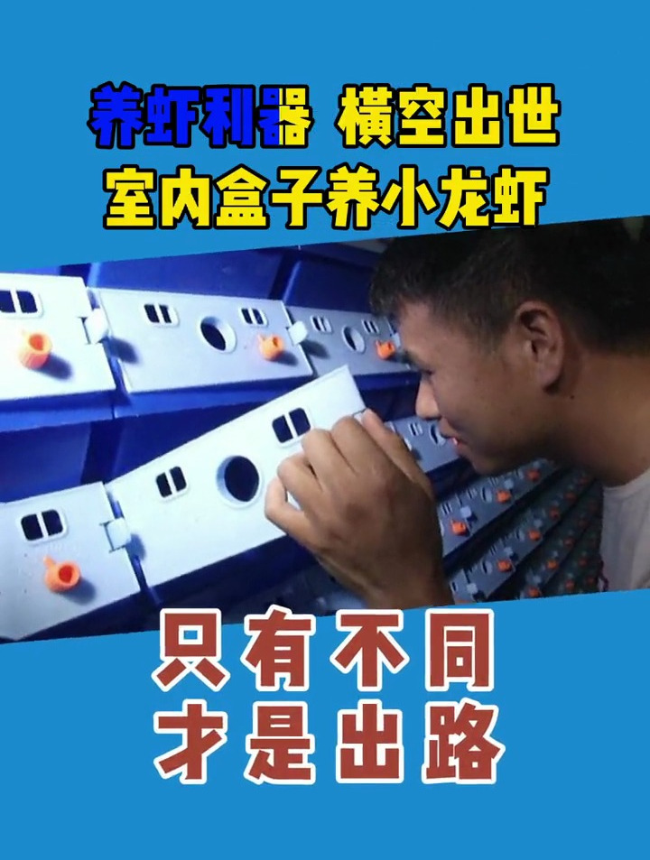 湖北小伙盒子里养小龙虾,大获成功亩产80多w!唯有不同才是出路