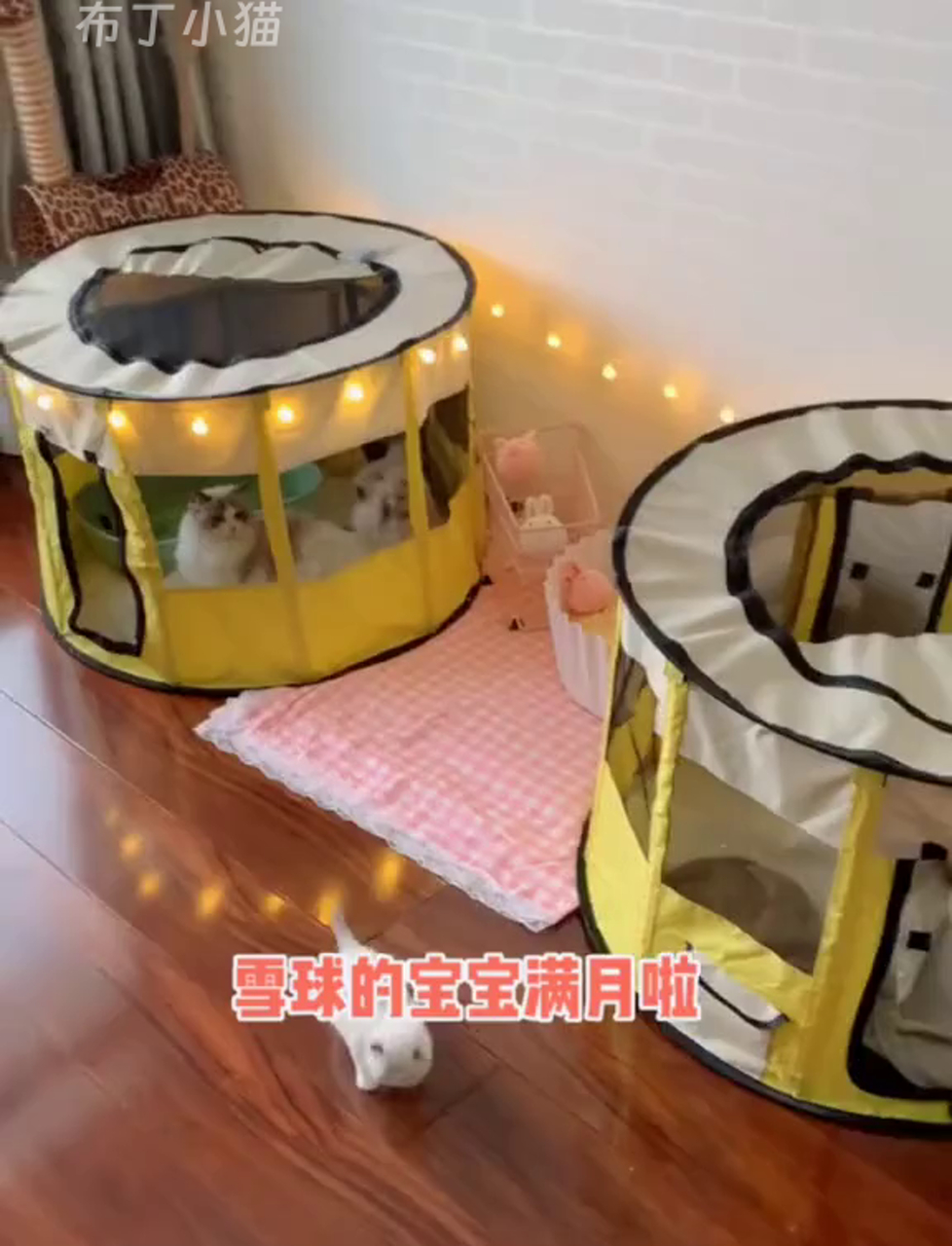 宝贝满月宴要开始了,就差你啦!快来参加!
