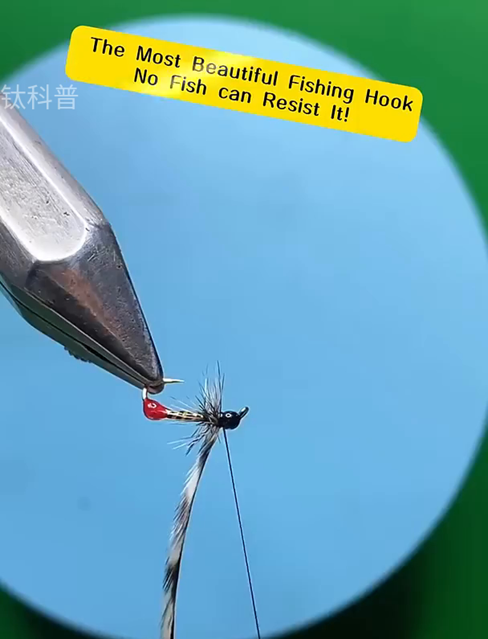 全球最靓钓鱼钩,鱼儿见了都上钩!