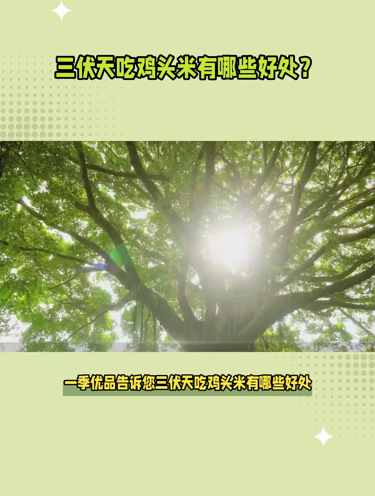 三伏天吃鸡头米有哪些好处?